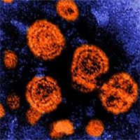 5 giả thuyết về nguyên nhân gây bệnh viêm gan bí ẩn