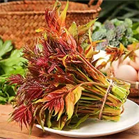 Loại cây mọc dại ở Việt Nam, tuy có độc nhưng dân Trung Quốc vẫn mua ăn với giá trên trời