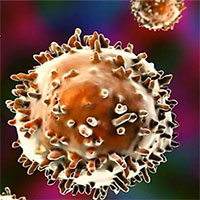 Đã có bằng chứng về tế bào bí ẩn ở hệ miễn dịch người