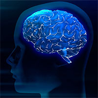 Phát hiện cách chữa đột quỵ bị lãng quên hàng thập kỷ