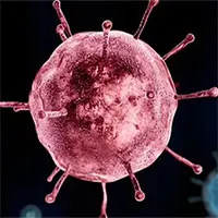 Virus cúm mùa là hậu duệ của "sát thủ" từng giết 100 triệu người?
