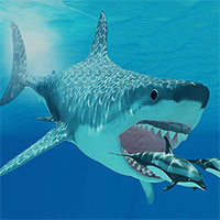 Sự thật về loài cá mập khổng lồ thống trị biển sâu hơn 20 triệu năm