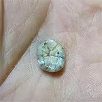 Phát hiện dấu vết "loài người ma" tuyệt chủng ở dãy Trường Sơn?
