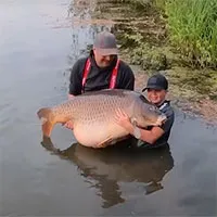 Cậu bé 11 tuổi lập kỷ lục thế giới nhờ câu con cá chép nặng 43,5kg