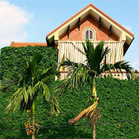 Những giải pháp chống nắng, nóng cho nhà ở phía Tây