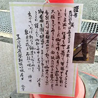 Vì sao người Nhật thực hiện nghi thức tang lễ cho một cây măng tre?