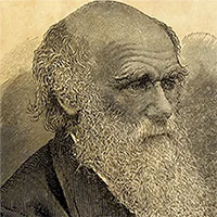 Nghiên cứu chỉ ra 