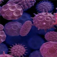 Khoa học bác bỏ giả thuyết virus đậu mùa khỉ đến từ phòng thí nghiệm Trung Quốc và Ukraine