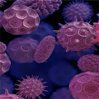 Khoa học bác bỏ giả thuyết virus đậu mùa khỉ đến từ phòng thí nghiệm Trung Quốc và Ukraine