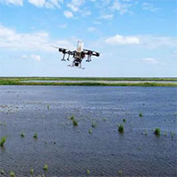 Nông dân Nga dùng máy bay không người lái để trồng lúa