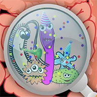 Vi khuẩn đường ruột có thể là 