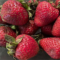 FDA cảnh báo: Dâu tây có thể gây bùng phát bệnh viêm gan A ở Mỹ và Canada