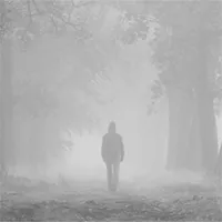 Decoding Vietnam's “ma đưa” ghost-led phenomenon and how to survive when lost in the forest