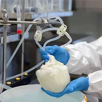 Nhà khoa học nuôi cấy trái tim để ghép cho người
