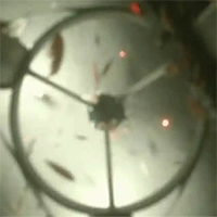 Phát hiện hệ sinh thái mới ẩn giấu dưới thềm băng lớn nhất Nam Cực