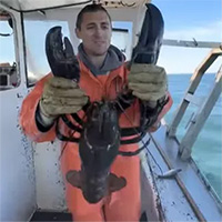 Ngư dân Mỹ bắt được tôm hùm khổng lồ hơn 100 tuổi