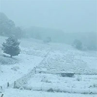 Australia đón mùa đông lạnh chưa từng thấy trong hơn 100 năm qua