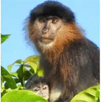 Sự thật đằng sau 