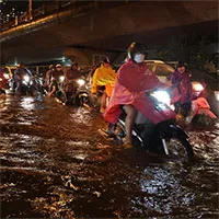 Mỗi khi mưa ngập thường xuyên, nhiều người sẽ phải "đương đầu" với một loại sinh vật "kinh dị" này