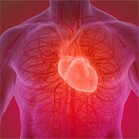 Loại keo thần kỳ có thể 