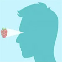 Đôi mắt loài cá có gì đặc biệt để chúng nhìn rõ dưới nước?