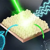 Cảm biến phát hiện nhanh thuốc trừ sâu trong trái cây