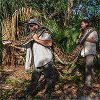 Tóm gọn trăn Miến Điện khổng lồ dài hơn 5m ở Florida