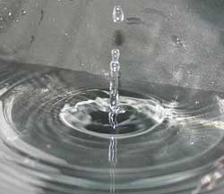 Hội thảo Việt - Mỹ về công nghệ chống ô nhiễm nước