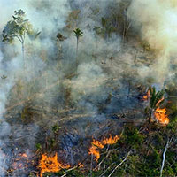 Đến năm 2030 con người sẽ phải đối mặt với hạn hán nghiêm trọng