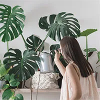Top 5 mẹo giúp đối phó với mùa hè nóng nực, điều cuối 99% mọi người đều làm sai nhưng không biết