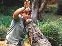 Công chiếu bộ phim cuối cùng của “người săn cá sấu”