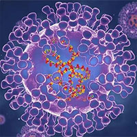 Virus đậu mùa khỉ tiến hóa 