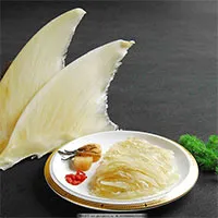 Vây cá mập được ví như thuốc bổ thượng hạng, xa xỉ nhưng có thực sự tốt?