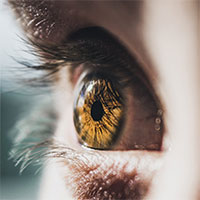 Mắt người sẽ ra sao nếu tim và não ngừng hoạt động?