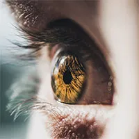 Mắt người sẽ ra sao nếu tim và não ngừng hoạt động?