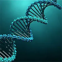 Công nghệ DNA mới khiến chúng ta phải "vẽ lại" cây tiến hóa