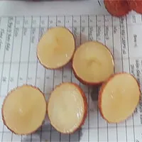 Bắc Giang trồng thử nghiệm thành công vải thiều không hạt