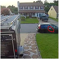 Cá rơi từ trên trời xuống bất thường ở Mỹ