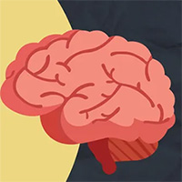 Những thắc mắc thường gặp về não bộ