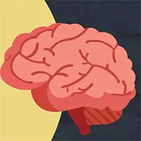 Những thắc mắc thường gặp về não bộ