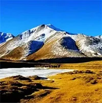 Thành phố nghìn năm không trồng nổi 1 cây xanh: Thưởng 1 tỷ cho ai "giải cứu" thành công