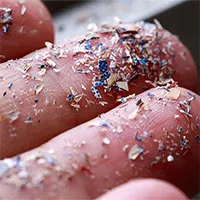 Tìm thấy hạt vi nhựa ở nơi không thể ngờ tới