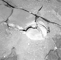 NASA tung ảnh "dải thịt xông khói" ngoài hành tinh: Liệu có phải là sự sống ẩn mình?