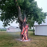 Kinh ngạc khoảnh khắc cây rực lửa từ bên trong, giống như cổng địa ngục