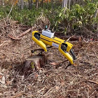 Chó robot hỗ trợ công việc lâm nghiệp ở Nhật Bản