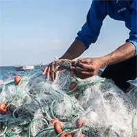 Cuộc xâm lược của loài cua phàm ăn