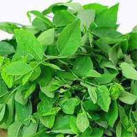 Rau ngót - Loại rau giúp đàn ông tăng cường sinh lý