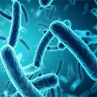 Phát triển loại kháng sinh tổng hợp mới có thể tiêu diệt cả vi khuẩn kháng thuốc