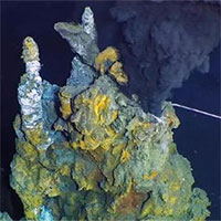 Cánh đồng quái vật Thái Bình Dương: Gợi ý về sinh vật ngoài hành tinh?