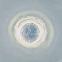 Những loài ký sinh trùng nguy hiểm nhất ở người từng được phát hiện